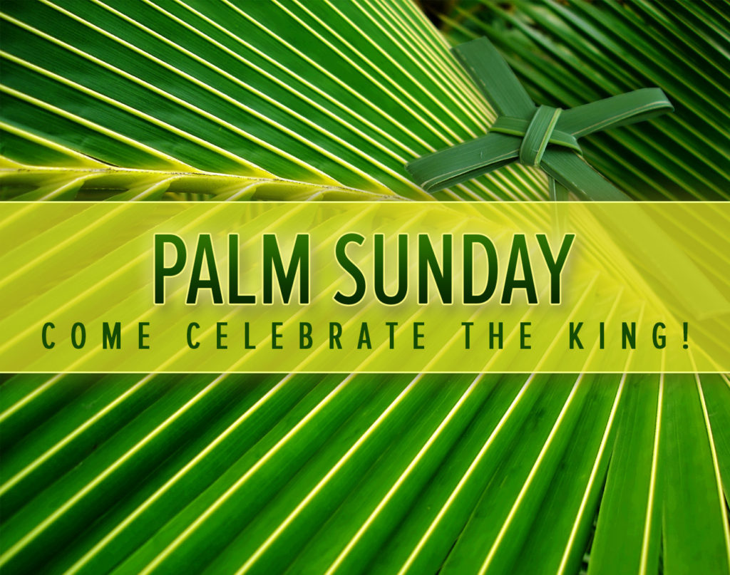 Palm Sunday Mark Sooke Baptist